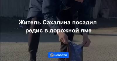 Житель Сахалина посадил редис в дорожной яме