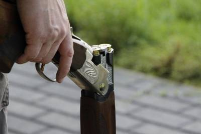8 единиц гражданского оружия изъяли росгвардейцы за неделю в Пскове