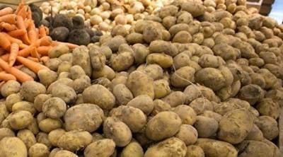 20 тонн картофеля пытались вывезти с Урала в Казахстан под видом апельсинов