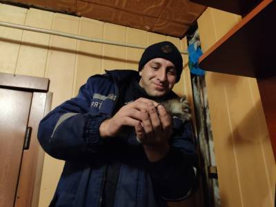 Сотрудники ГСЧС в Лисичанске спасли котенка и песика: фото
