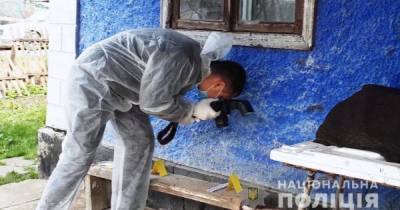 Двойное убийство в Одесской области: появилось видео с места трагедии