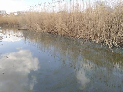 В Астраханской области выявлен несанкционированный слив нечистот в ерик Казачий