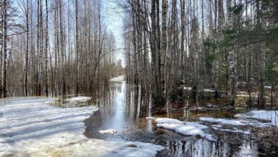 В Максатихе Тверской области поднимается уровень воды в реке Мологе