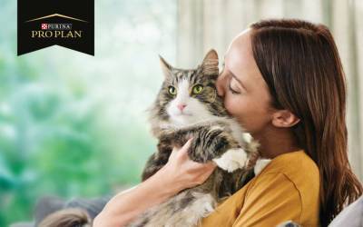 Аллергия на шерсть кошек: как с помощью корма для кошек можно нейтрализовать* аллерген