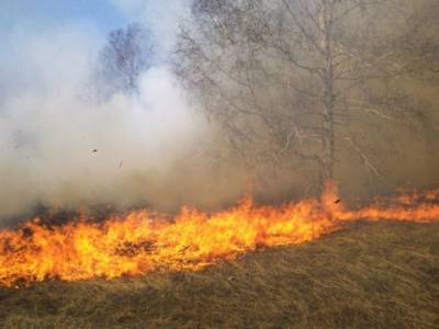 Огонь, охвативший сельские дома, подступает к Воронежу