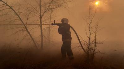К тушению огня на окраине Воронежа привлекли пожарный поезд