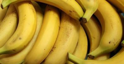 Бананы могут полностью исчезнуть с лица Земли: Биолог объяснил, что этому виной