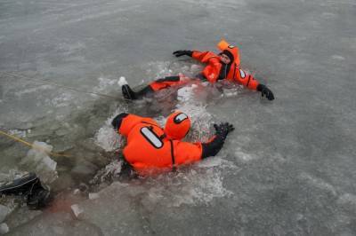 Спасатели пытаются вытащить провалившегося под лед мужчину с собакой