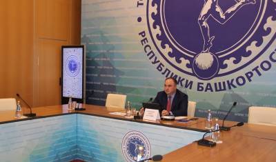 О поддержке бизнеса в Башкирии рассказали торгово-промышленным палатам регионов РФ