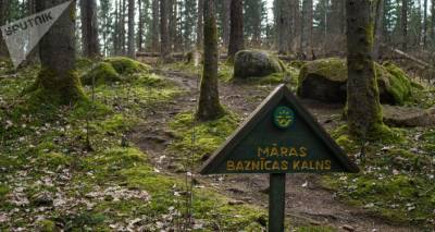 Тайны и легенды Покайнского леса в Латвии: почему стоит обязательно посетить это место