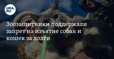 Зоозащитники поддержали запрет на изъятие собак и кошек за долги