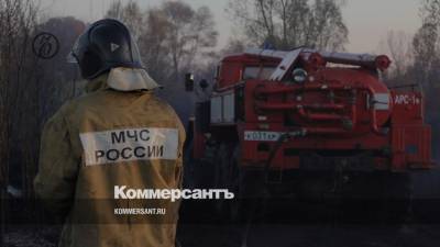 Под Воронежем в ландшафтных пожарах сгорели несколько домов