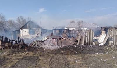 Природные пожары подступили к окраинам Воронежа