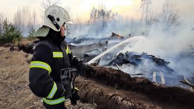 Появилось видео сильных пожаров под Воронежем