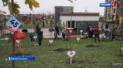 В микрорайонах «Красный Аксай» и «Вересаево» высадили 260 фруктовых деревьев