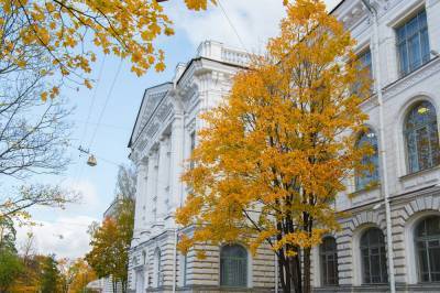 Петербургские ученые разработали радиатор для городского транспорта