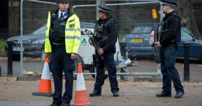 Мужчину с топором задержали около Букингемского дворца в Лондоне