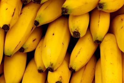 Эксперты рассказали об угрозе исчезновения бананов