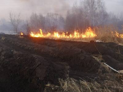 Пожарные потушили 1,5 гектара горящей травы возле базы отдыха "Бригантина"
