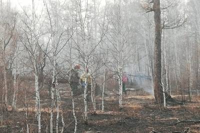 Пожарные потушили возгорание в лесу Улетовского района