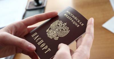В Правительстве РФ одобрили идею давать иностранцам "золотые паспорта"