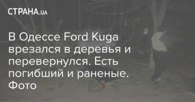 В Одессе Ford Kuga врезался в деревья и перевернулся. Есть погибший и раненые. Фото