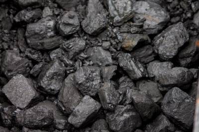 Роснедра выставит на аукцион угольный разрез «Богатырь» в Новосибирской области за 1,5 млрд рублей