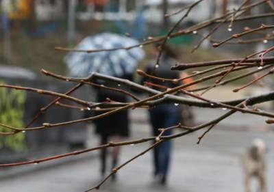 Діставайте гумові чоботи та парасольки: 14 квітня в Україну прийдуть опади - прогноз синоптиків