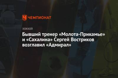 Бывший тренер «Молота-Прикамье» и «Сахалина» Сергей Востриков возглавил «Адмирал»