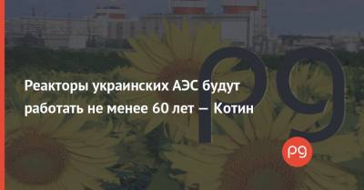 Реакторы украинских АЭС будут работать не менее 60 лет — Котин
