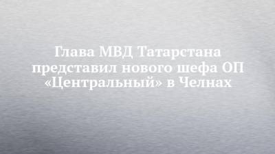 Глава МВД Татарстана представил нового шефа ОП «Центральный» в Челнах