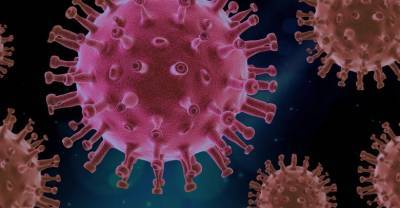 Эпидемиолог объяснила разницу между антителами M и G к коронавирусу