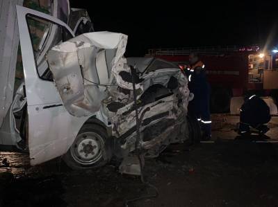 На дороге Котельниково-Песчанокопское легковушка с прицепом врезалась в "Газель", двое погибли