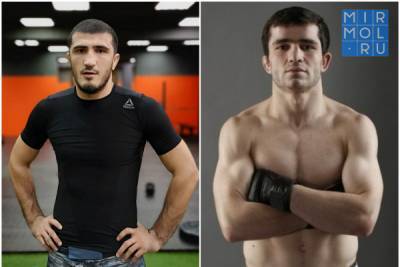 Рамазан Эмеев и Тимур Валиев проведут поединки в UFC в июне