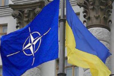 Украина не планирует наступать в Донбассе