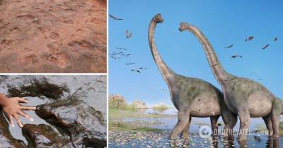 Танцпол динозавров обнаружили на востоке Китая – фото
