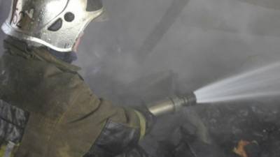 Пожарные потушили 12 домов в Воронежской области