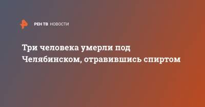 Три человека умерли под Челябинском, отравившись спиртом - ren.tv - Челябинская обл. - Челябинск - район Каслинский