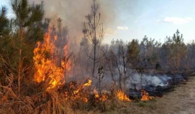Возгорание сухой травы привело к пожару в Хоперском заповеднике