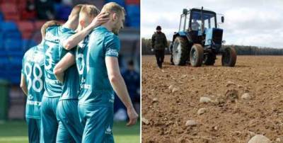 Футбольную команду в Беларуси отправили работать в колхоз после серии неудач на чемпионате