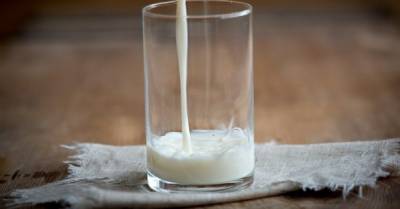 Дешевого молока летом не будет — ассоциация производителей