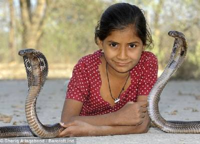 Причуды эволюции: люди в будущем могут стать такими же ядовитыми, как змеи