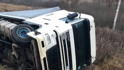 ДТП с четырьмя грузовиками в Тамбовской области унесло жизнь человека