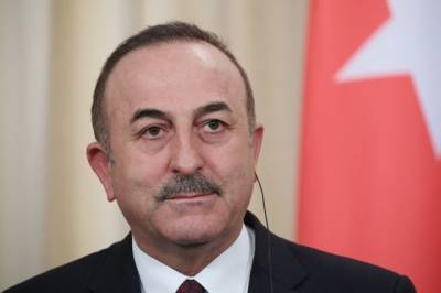 МИД Турции оценил решение России об ограничении авиасообщения