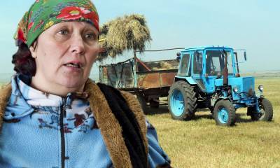 Совхозу в Карелии, который получил 500 миллионов, грозит банкротство из-за долгов белорусам