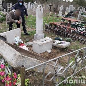 В Васильевке мужчина повредил памятники на кладбище. Фото