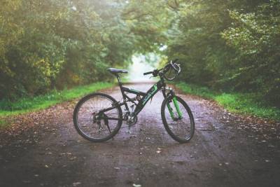 Безработный житель Дедовичского района украл велосипед