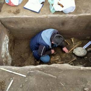 В Тернопольской области посреди поля нашли древнюю гробницу