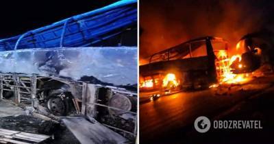 ДТП в Египте: 20 человек сгорели заживо, трое пострадали - фото
