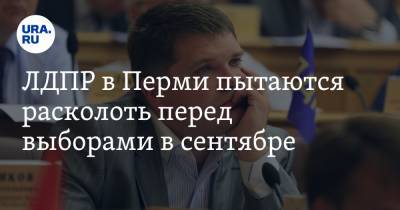 ЛДПР в Перми пытаются расколоть перед выборами в сентябре